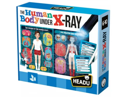 The Human Body under X-Ray