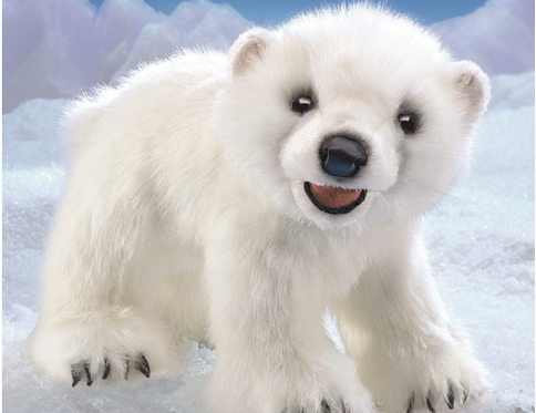Bear, Polar Cub
