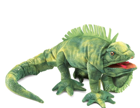 Iguana