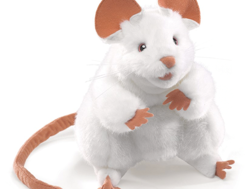 Mouse, White