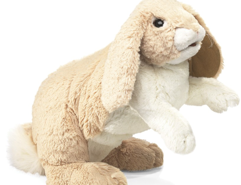 Rabbit, Floppy Bunny