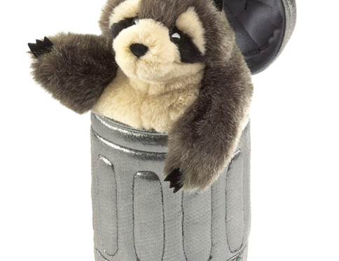 Raccoon in Garbage Can